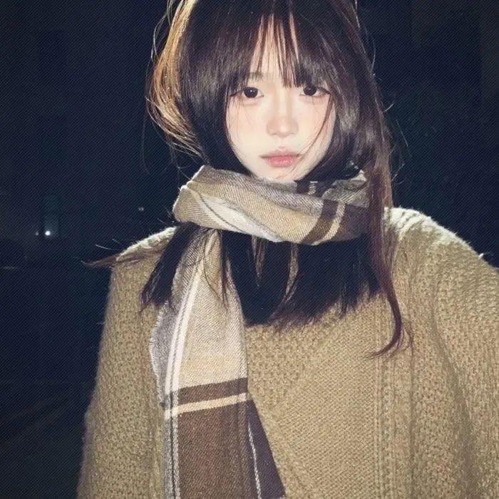 灰姑娘的故事：圣诞愿望